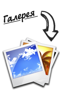 Задать вопрос